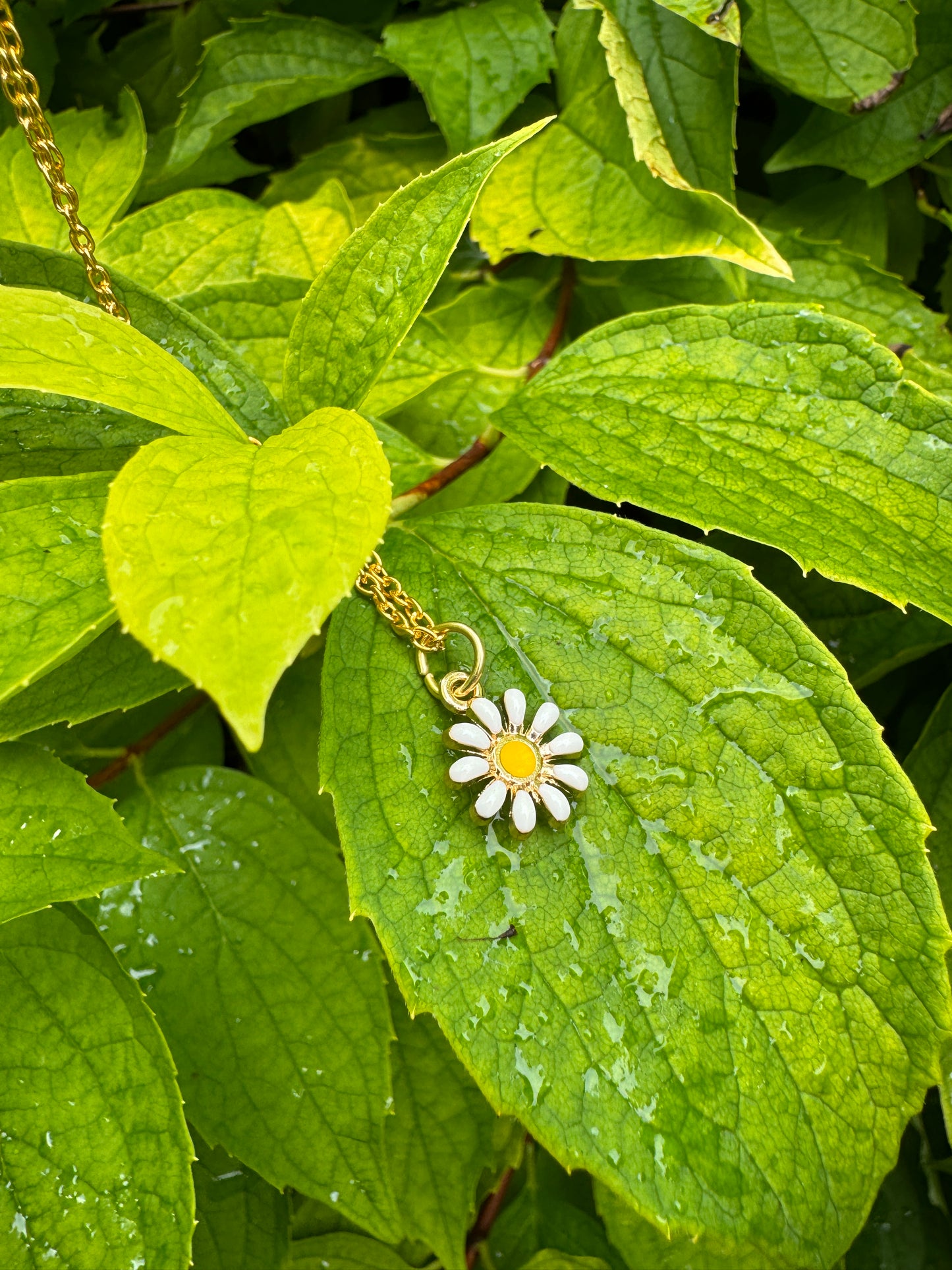 Oxeye Daisy Charm Necklace