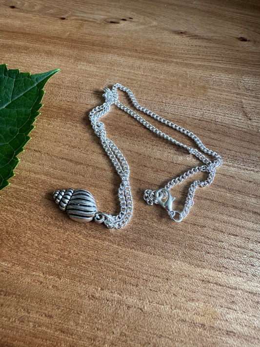 Seashell necklace on silver tone chain - shell necklace