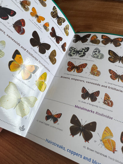 Wildlife & Nature Guide: Butterflies of Britain and Ireland