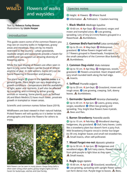 Wildlife & Nature Guide: Flowers of Walks and Waysides