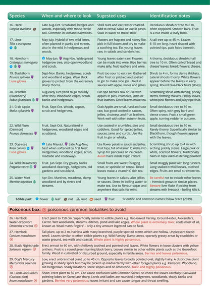 Wildlife & Nature Guide: Foraging - Top 25 Edible Plants
