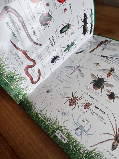 Wildlife & Nature Guide: Garden Bugs and Beasties