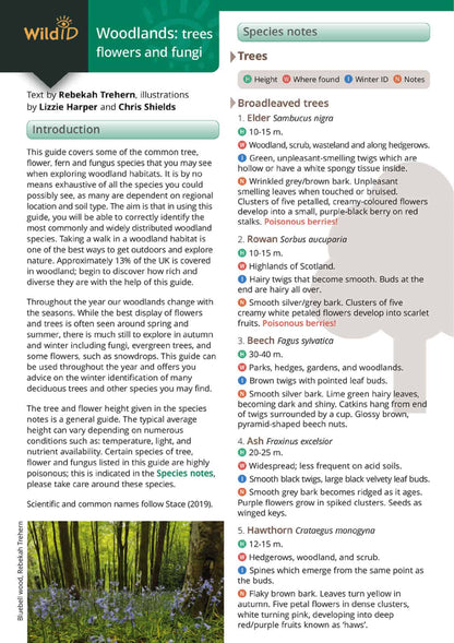 Wildlife & Nature Guide: Woodland Trees, Flowers and Fungi