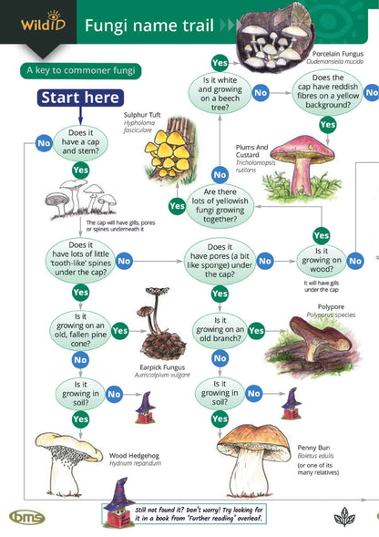 Wildlife & Nature Guide: Fungi name trail