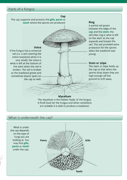 Wildlife & Nature Guide: Fungi name trail