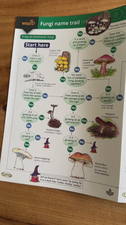 Wildlife & Nature Guide: Fungi name trail